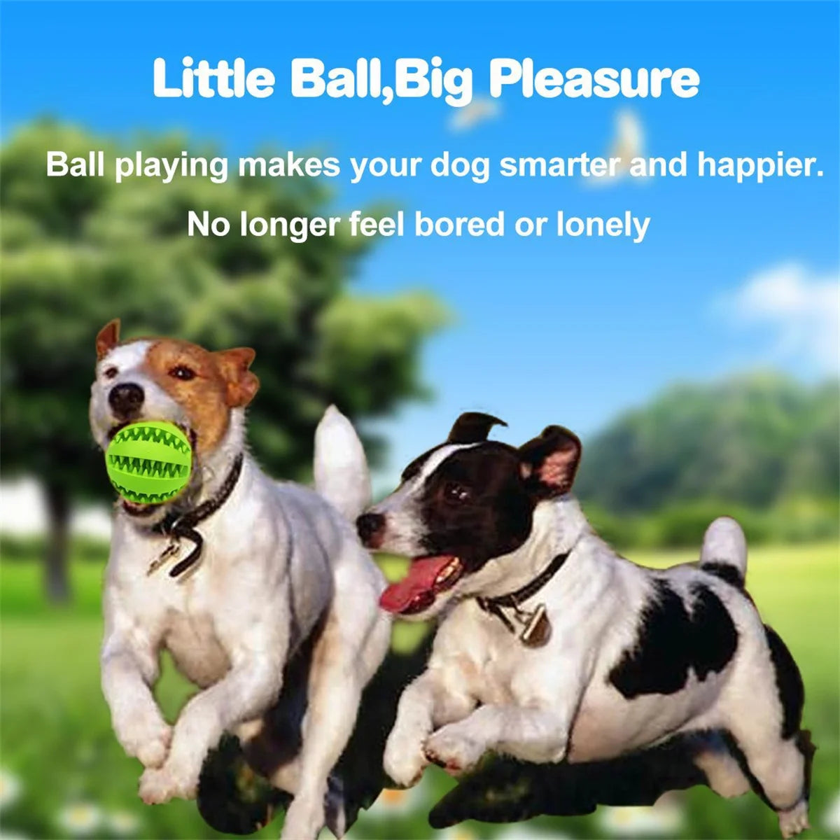 Kauspielzeug für Hunde – Zahnreinigungsspielball aus Naturkautschuk